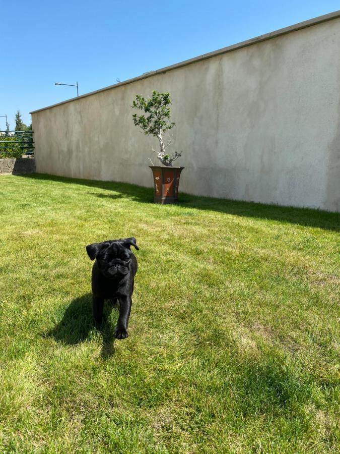 Olga Chambre D'Hote Verdun Exterior foto